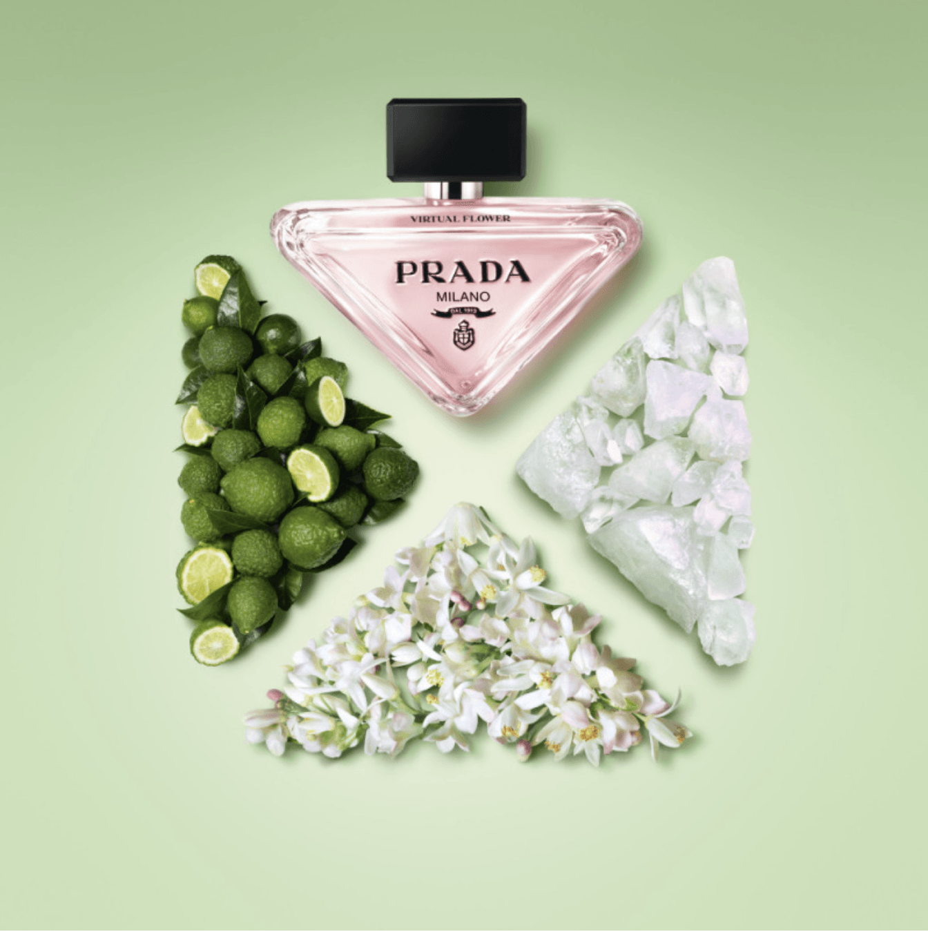 Prada Paradoxe - Virtual Flower