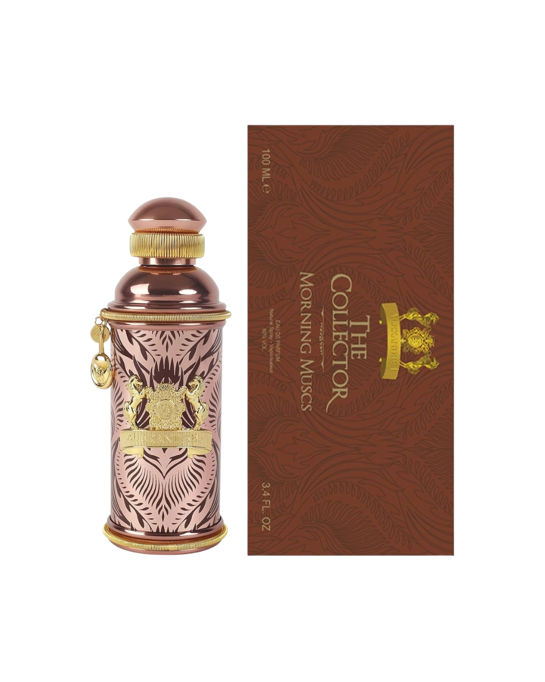 MORNING MUSCS - ALEXANDRE.J