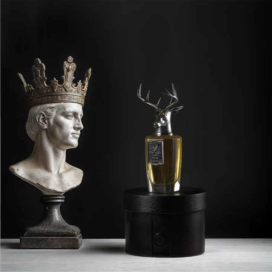 ORCHESTRA - PANADORA