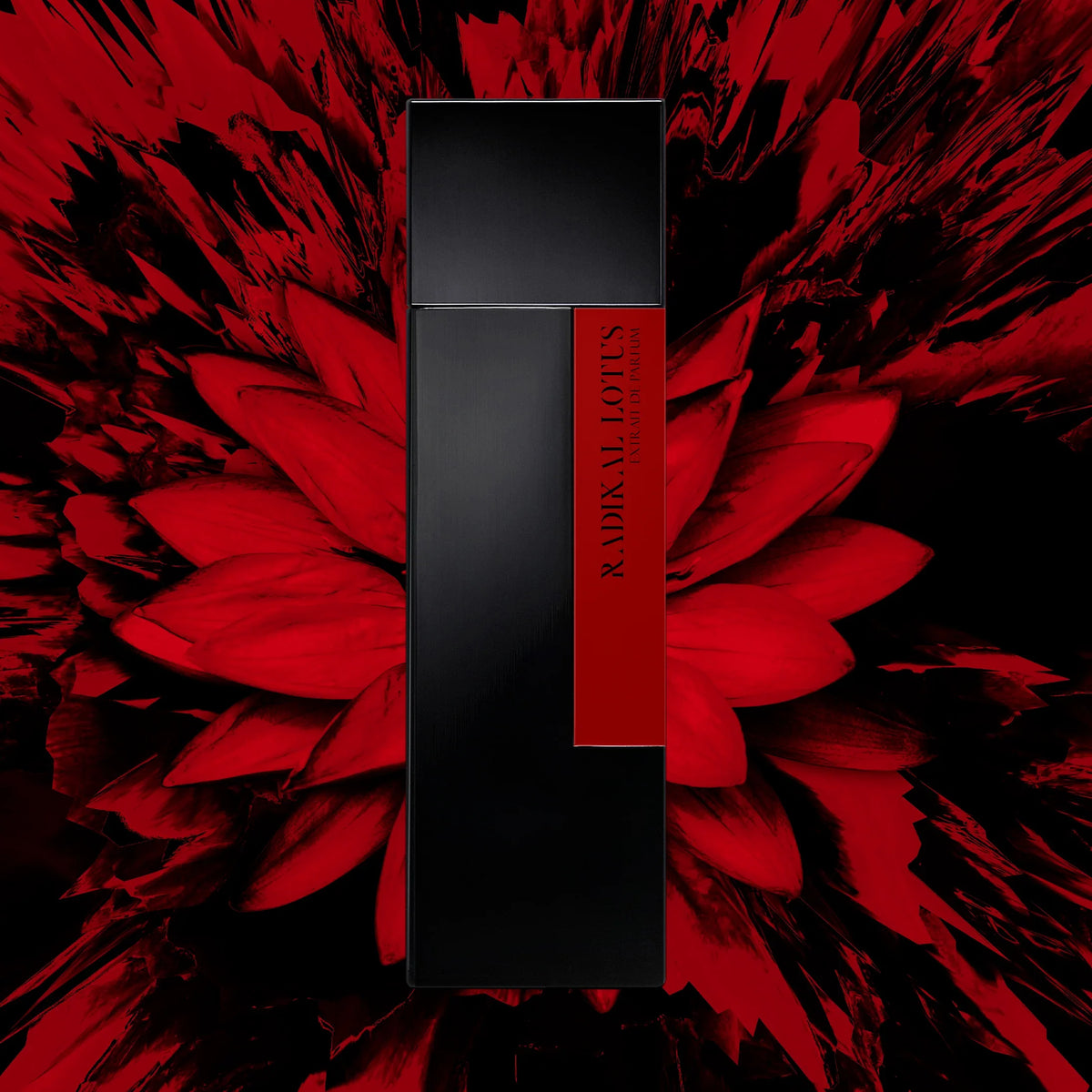 RADIKAL LOTUS - LAURENT MAZZONE