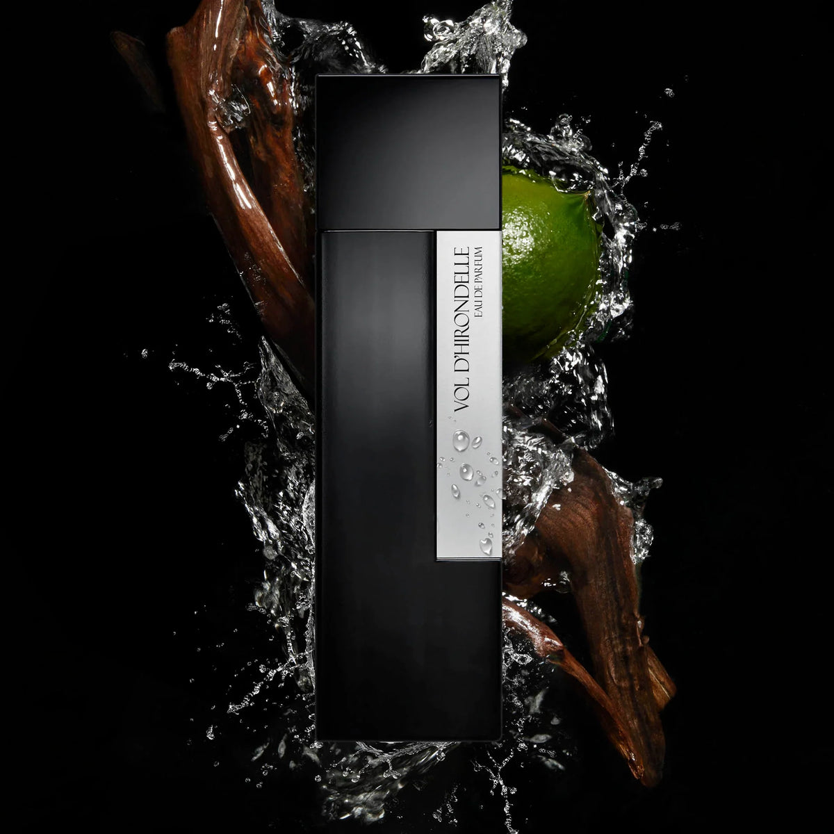 VOL D'HIRONDELLE - LAURENT MAZZONE