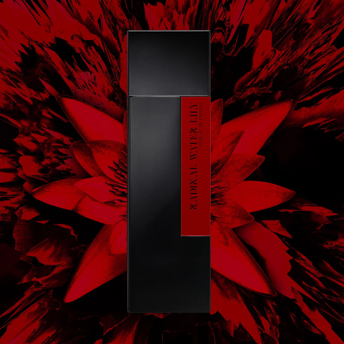 RADIKAL WATER LILY - LAURENT MAZZONE