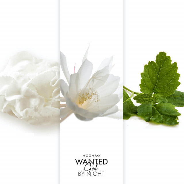 Azzaro - Azzaro Wanted Girl By Night | Eau de Parfum