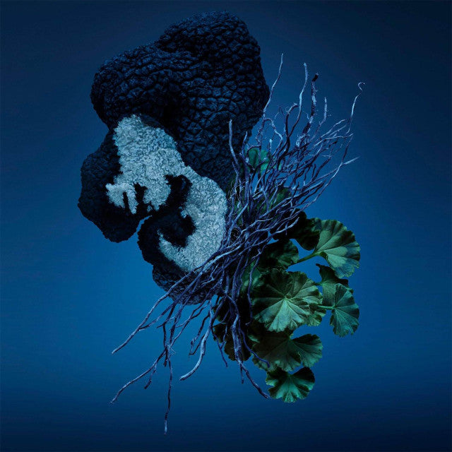 Carolina Herrera - Bad Boy Cobalt | Eau de Parfum Électrique