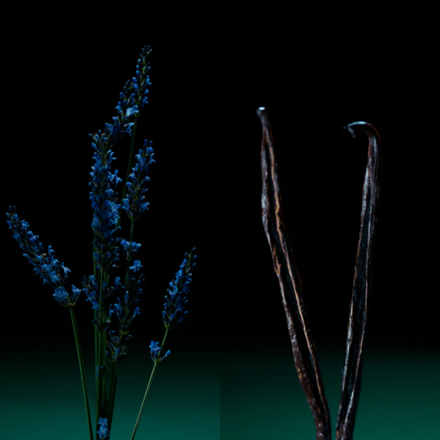 Caron - Pour un Homme | Parfum