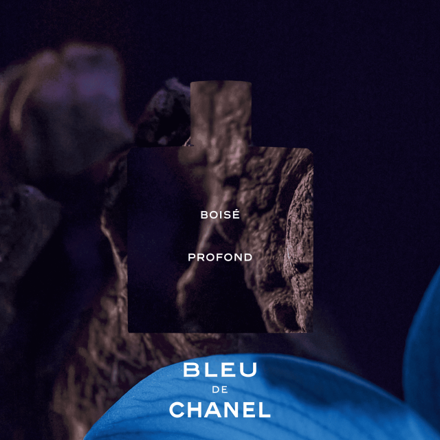 Chanel - Bleu de Chanel | Parfum