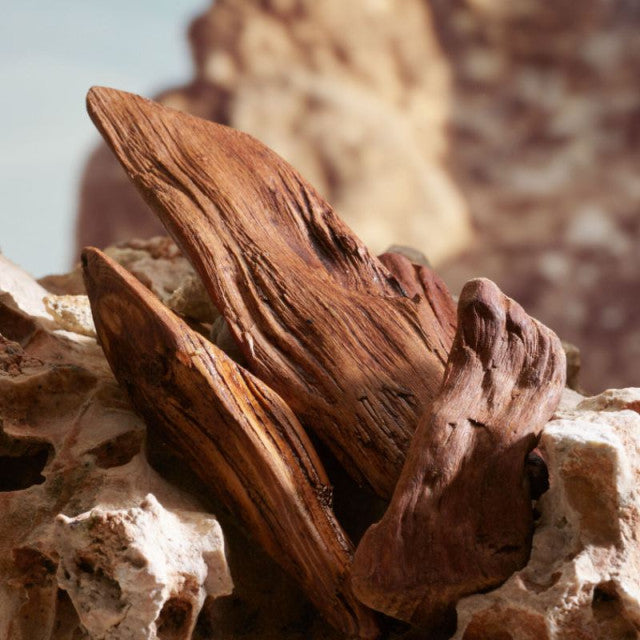 Dolce & Gabbana - K by Dolce&Gabbana | Parfum