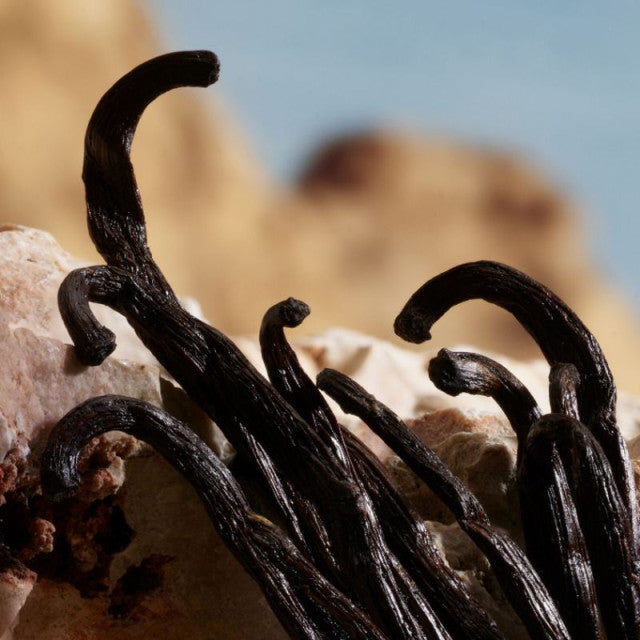 Dolce & Gabbana - Q by Dolce&Gabbana | Parfum