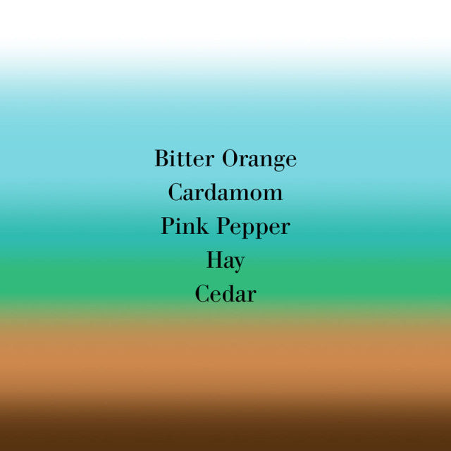 Frédéric Malle - Bigarade Concentrée | Eau de Cologne