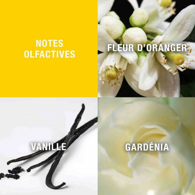 Giorgio Beverly Hills - Giorgio Beverly Hills | Eau de Toilette