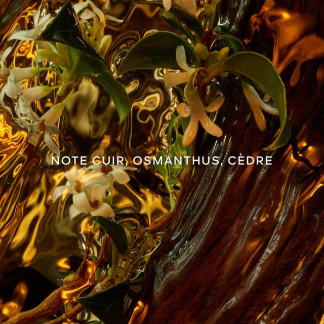 Guerlain - Absolus Allegoria Cuir Intense | Eau de Parfum