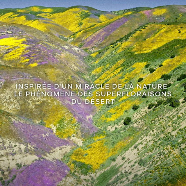 Guerlain - Aqua Allegoria Florabloom | Eau de Toilette