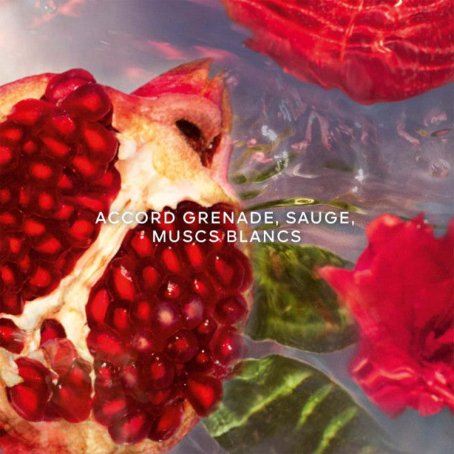 Guerlain - Aqua Allegoria Granada Salvia | Eau de Toilette