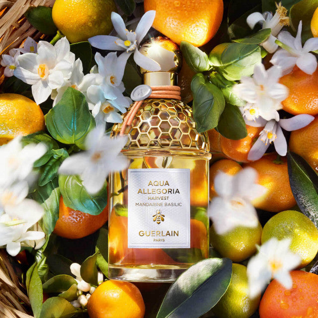Guerlain - Aqua Allegoria Harvest Mandarine Basilic | Eau de Toilette