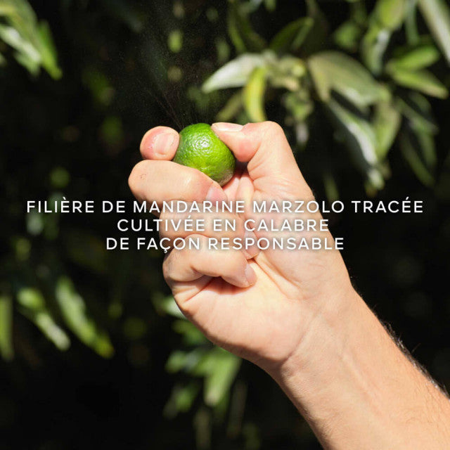 Guerlain - Aqua Allegoria Harvest Mandarine Basilic | Eau de Toilette