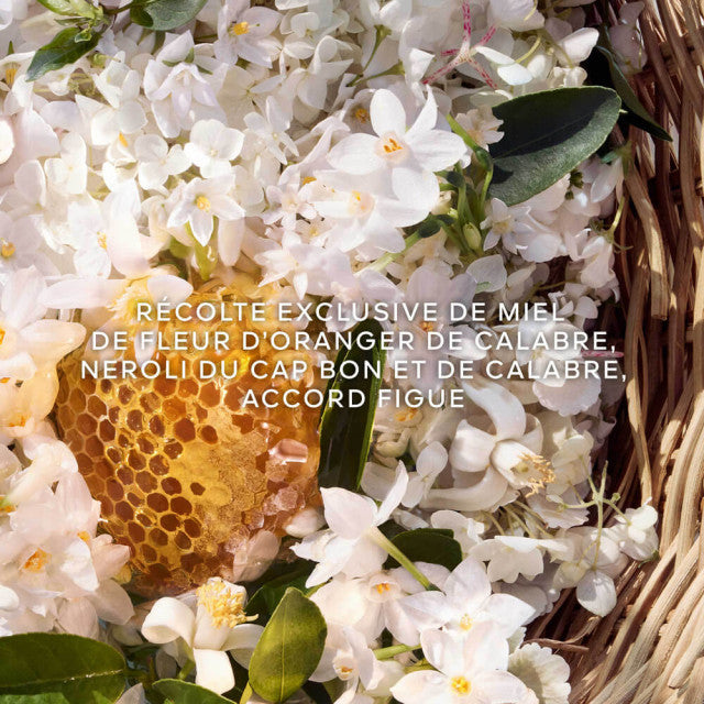 Guerlain - Aqua Allegoria Harvest Nerolia Vetiver | Eau de Toilette