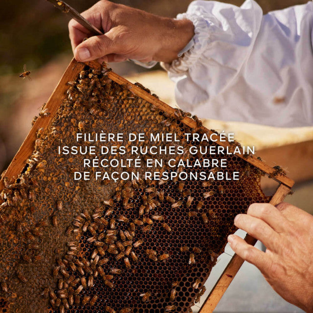 Guerlain - Aqua Allegoria Harvest Nerolia Vetiver | Eau de Toilette