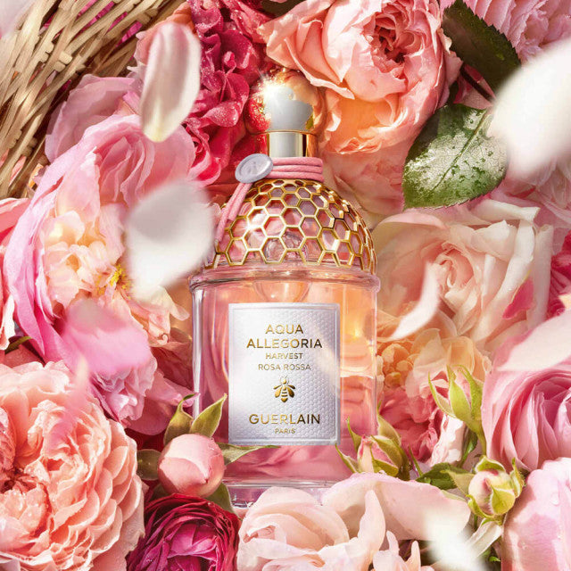 Guerlain - Aqua Allegoria Harvest Rosa Rossa | Eau de Toilette