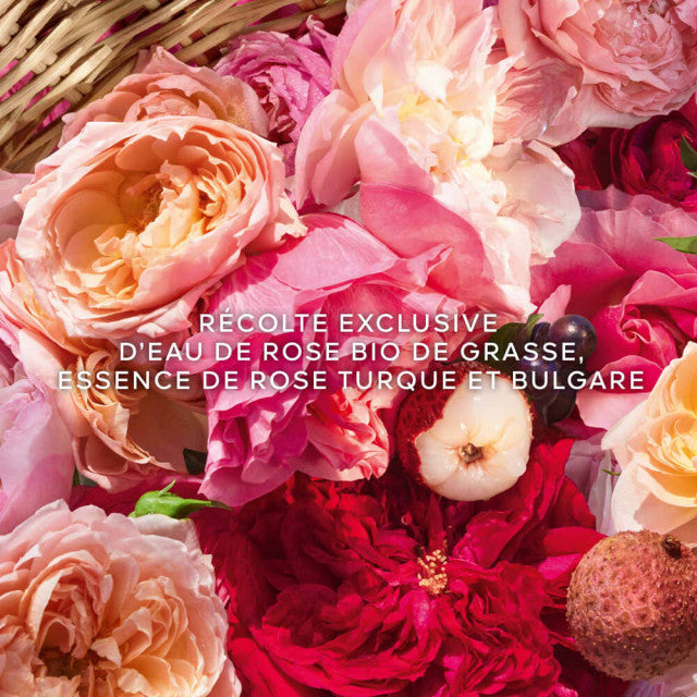 Guerlain - Aqua Allegoria Harvest Rosa Rossa | Eau de Toilette