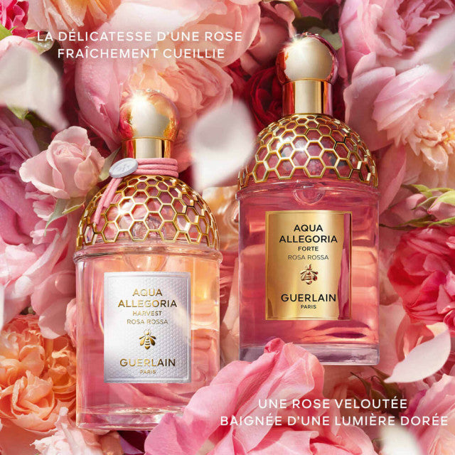 Guerlain - Aqua Allegoria Harvest Rosa Rossa | Eau de Toilette