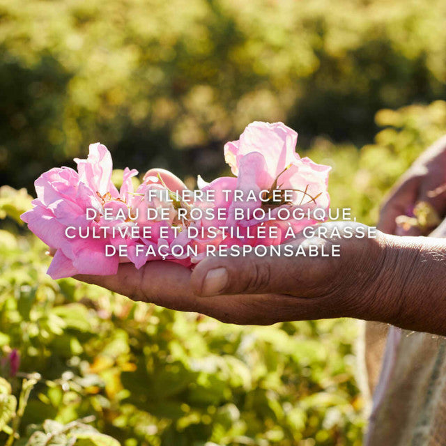 Guerlain - Aqua Allegoria Harvest Rosa Rossa | Eau de Toilette