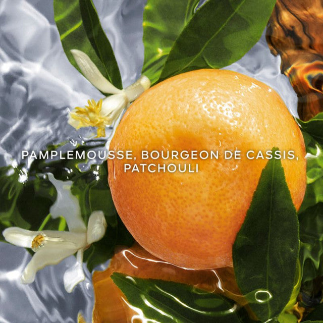 Guerlain - Aqua Allegoria Pamplelune | Eau de Toilette