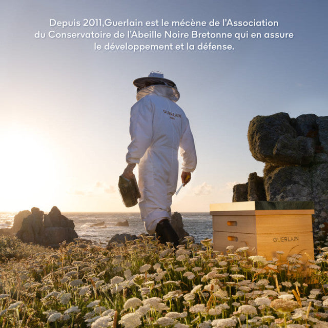 Guerlain - Abeille Royale | Coffret Anti-Âge Huile-en-Eau Jeunesse