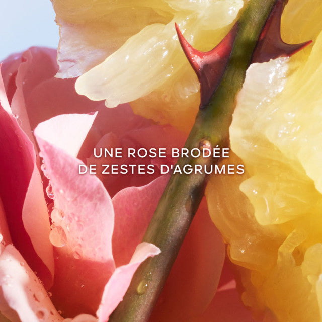 Guerlain - La Petite Robe Noire | Coffret Eau de Toilette avec sa miniature et son lait corps