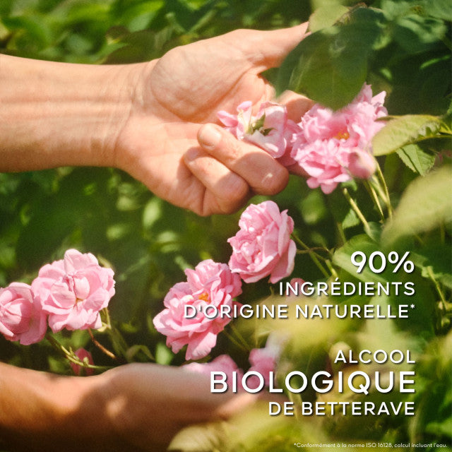 Guerlain - La Petite Robe Noire | Eau de Toilette