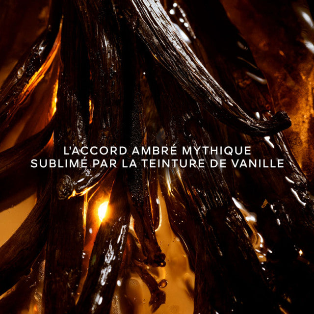 Guerlain - Shalimar L'Essence | Eau de Parfum Intense