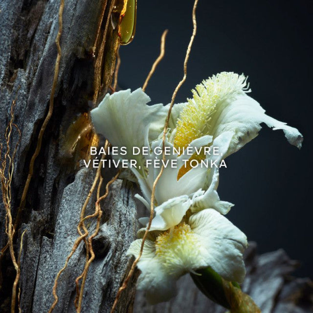 Guerlain - Vétiver | Parfum