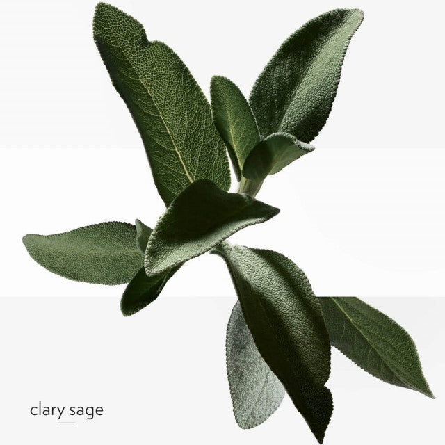 Hermès - H24 | Eau de Toilette