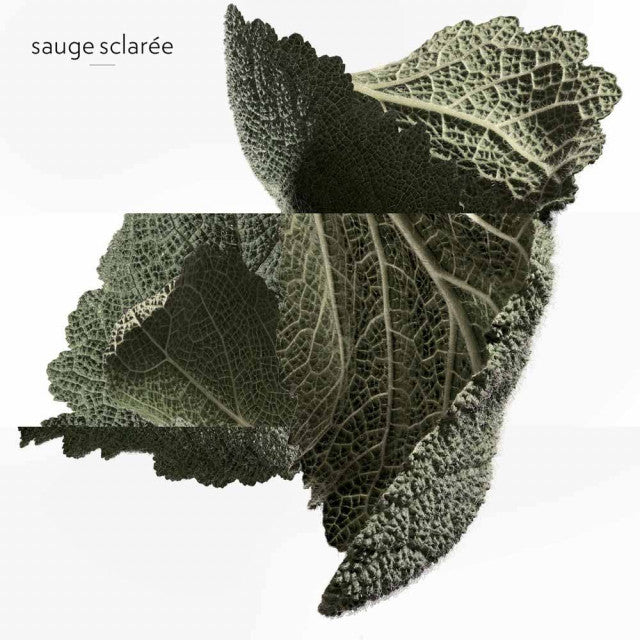 Hermès - H24 | Eau de Parfum vaporisateur remplissable