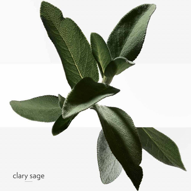 Hermès - H24 | Soin Visage Energisant Hydratant