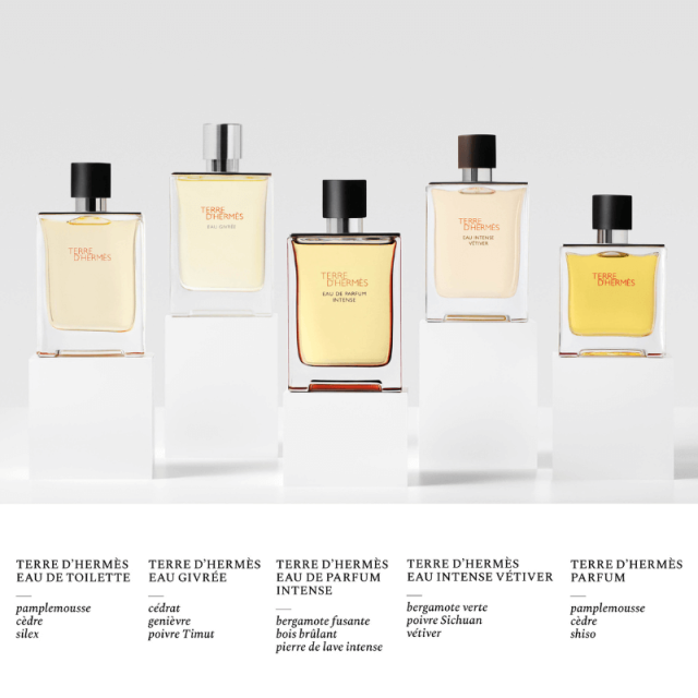 Hermès - Terre d'Hermès | Eau de Parfum Intense rechargeable