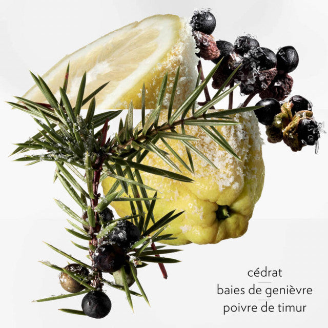 Hermès - Terre D'Hermès Eau Givrée | Eau de Parfum