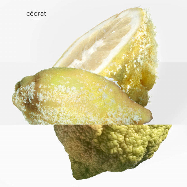 Hermès - Terre D'Hermès Eau Givrée | Eau de Parfum