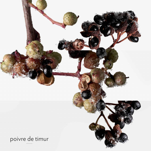 Hermès - Terre D'Hermès Eau Givrée | Eau de Parfum