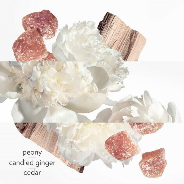 Hermès - Twilly d'Hermès | Eau Ginger - Eau de Parfum