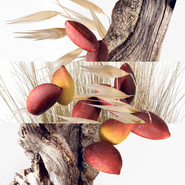 Hermès - Un Jardin à Cythère | Eau de Toilette