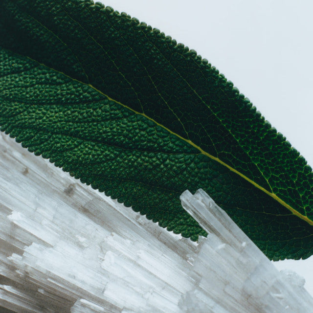 Jo Malone London - Wood Sage & Sea Salt | Gel Moussant Nettoyant