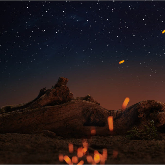 Maison Margiela - Replica Under the Stars | Eau de Toilette