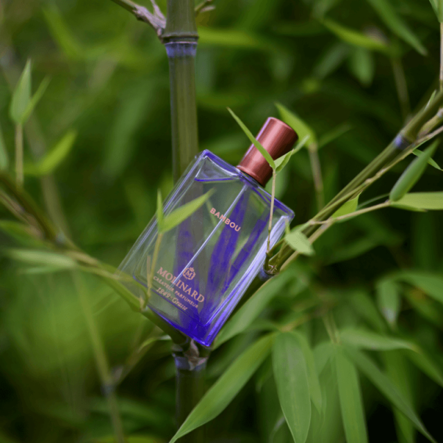 Molinard - Bambou | Eau de Parfum