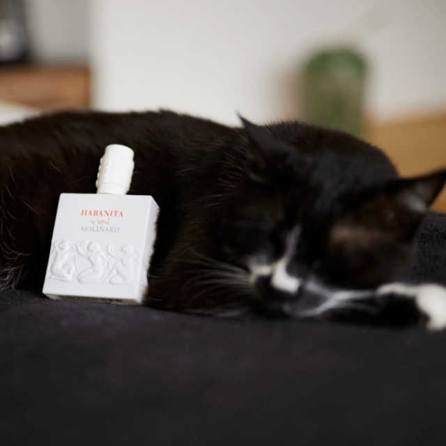 Molinard - Habanita L'Esprit | Eau de Parfum