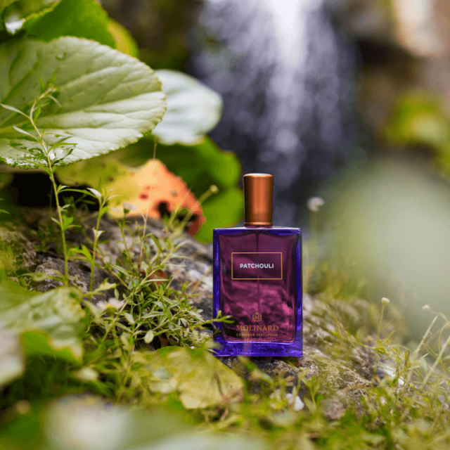 Molinard - Patchouli | Eau de Parfum