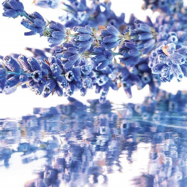 Guerlain - Mon Guerlain | Eau de Parfum