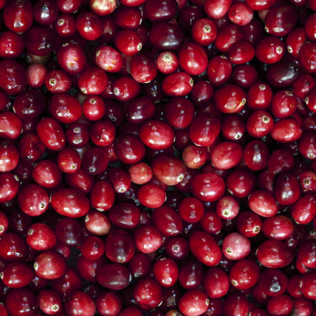 Ralph Lauren - Big Pony Femme 2 Pink | Eau de Toilette