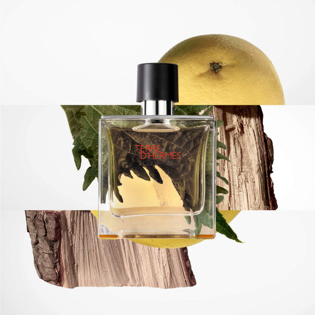 Hermès - Terre d'Hermès | Parfum