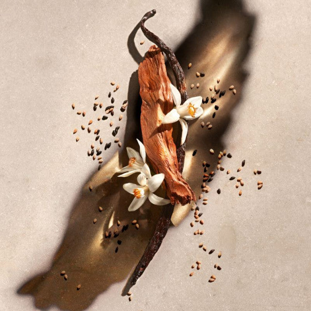 Zadig & Voltaire - Zadig | Eau de Parfum rechargeable