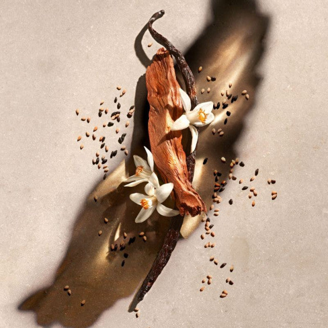 Zadig & Voltaire - Zadig | Lait pour le corps